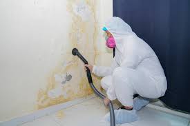 Best Water Damage & Mold Remediation  in Chillicothe, MO